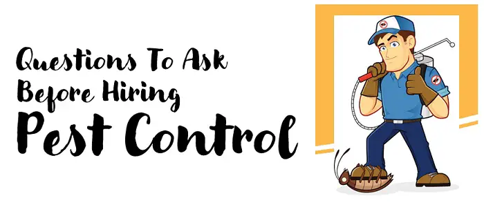 Questions to Ask before Hiring Pest Control