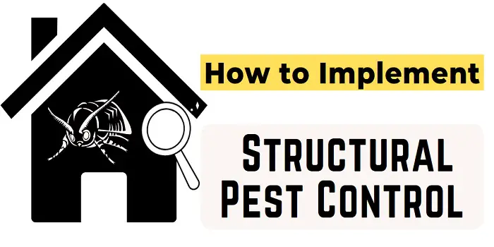 How to Implement Structural Pest Control 