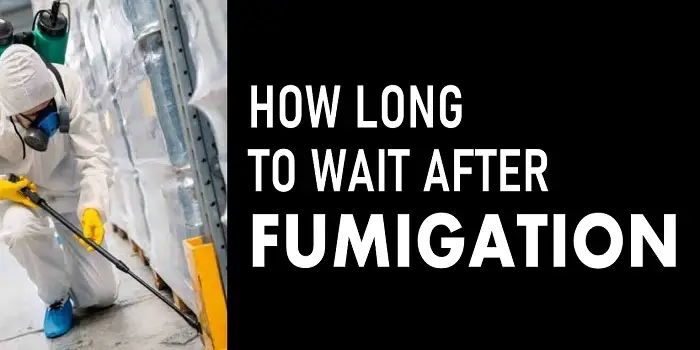 how long to wait after fumigation