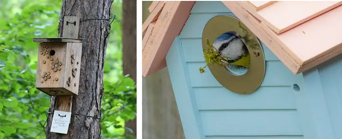 Nestbox And Sparrow Spooker