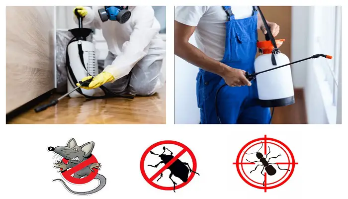 pest control companies