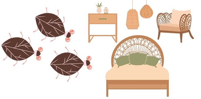 how to get rid of bed bugs in wood furniture