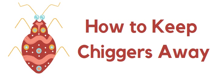 How to Keep Chiggers Away