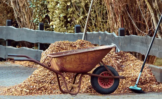 How to use mulch to keep bugs away