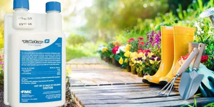 Talstar P Professional Insecticide Review