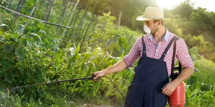 Can you spray tempo on plants